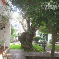 фото из отзыва ID 958741