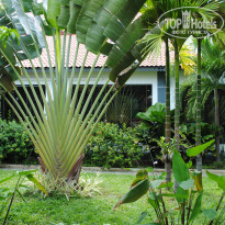 фото из отзыва ID 958777