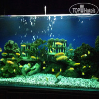 фото из отзыва ID 958957