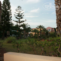 фото из отзыва ID 958549