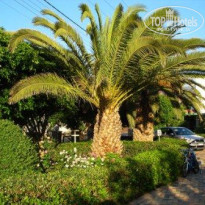 фото из отзыва ID 95924