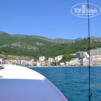 фото из отзыва ID 959134