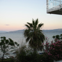 фото из отзыва ID 959176