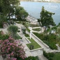 фото из отзыва ID 959176