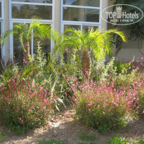 фото из отзыва ID 959230