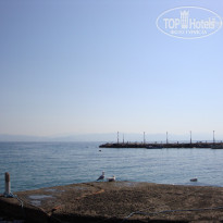 фото из отзыва ID 959377