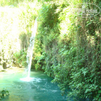 фото из отзыва ID 959405