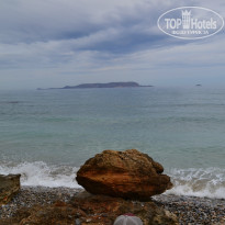 фото из отзыва ID 959474