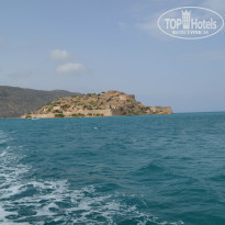 фото из отзыва ID 959474