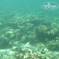 фото из отзыва ID 959575