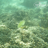 фото из отзыва ID 959575