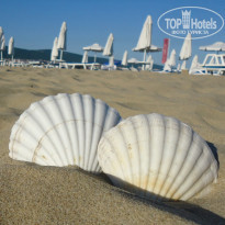 фото из отзыва ID 959683