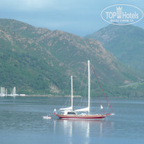 фото из отзыва ID 959969