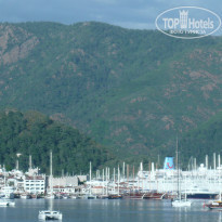 фото из отзыва ID 959969