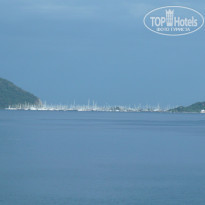 фото из отзыва ID 959969