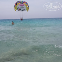 фото из отзыва ID 959647