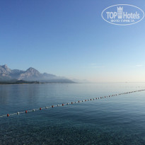 фото из отзыва ID 959347