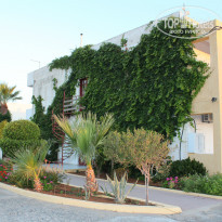 фото из отзыва ID 959716