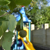 фото из отзыва ID 959201