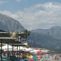 фото из отзыва ID 960057