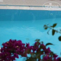 фото из отзыва ID 960097