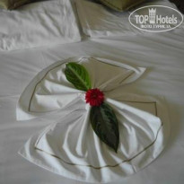 фото из отзыва ID 960143