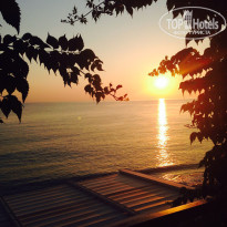 фото из отзыва ID 960543