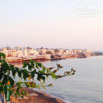 фото из отзыва ID 960543