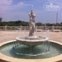 фото из отзыва ID 960986