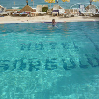 фото из отзыва ID 961065