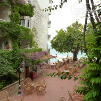 фото из отзыва ID 961065