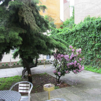 фото из отзыва ID 961089