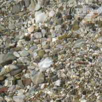 фото из отзыва ID 961269