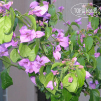 фото из отзыва ID 961269