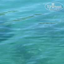 фото из отзыва ID 961269