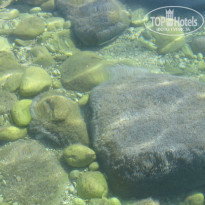 фото из отзыва ID 961269