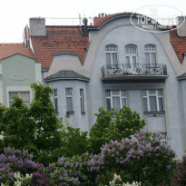 фото из отзыва ID 961432