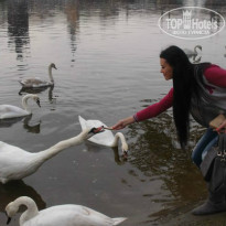 фото из отзыва ID 961432