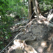 фото из отзыва ID 961472