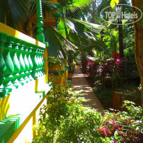 фото из отзыва ID 961552