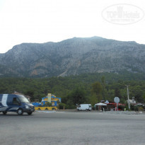 фото из отзыва ID 961576