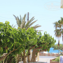 фото из отзыва ID 961692