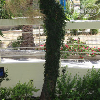 фото из отзыва ID 961692