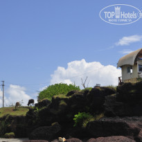 фото из отзыва ID 961767