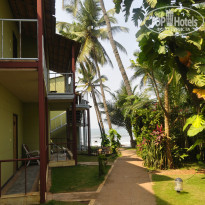 фото из отзыва ID 961767