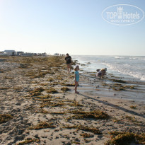 фото из отзыва ID 961868