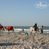 фото из отзыва ID 961868