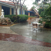 фото из отзыва ID 962165