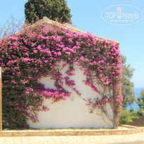 фото из отзыва ID 962347