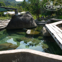 фото из отзыва ID 962573